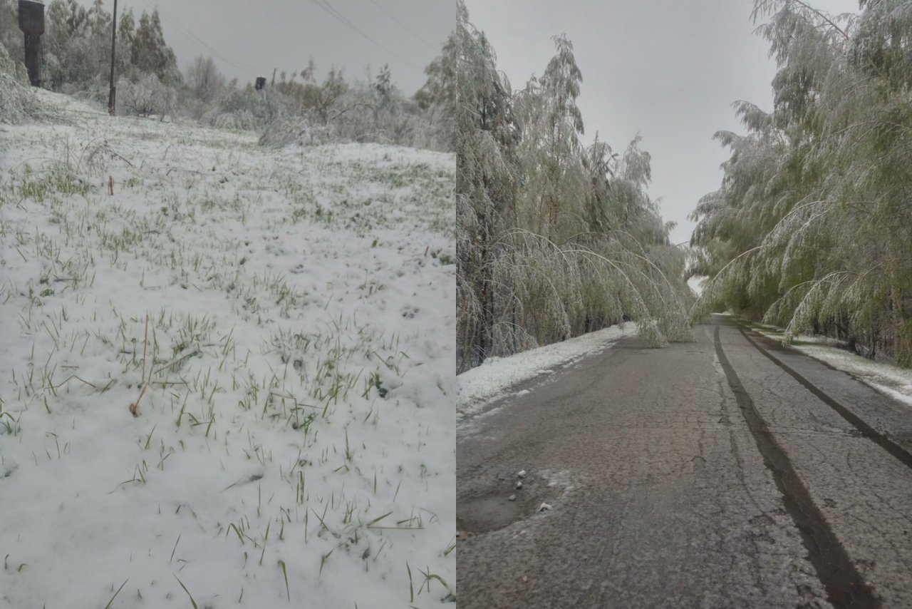 Выпал снег в феврале. Кировская область сугробы. Снег в Кировской области сегодня. Снег выпал только в феврале. В Кировской области выпал снег.