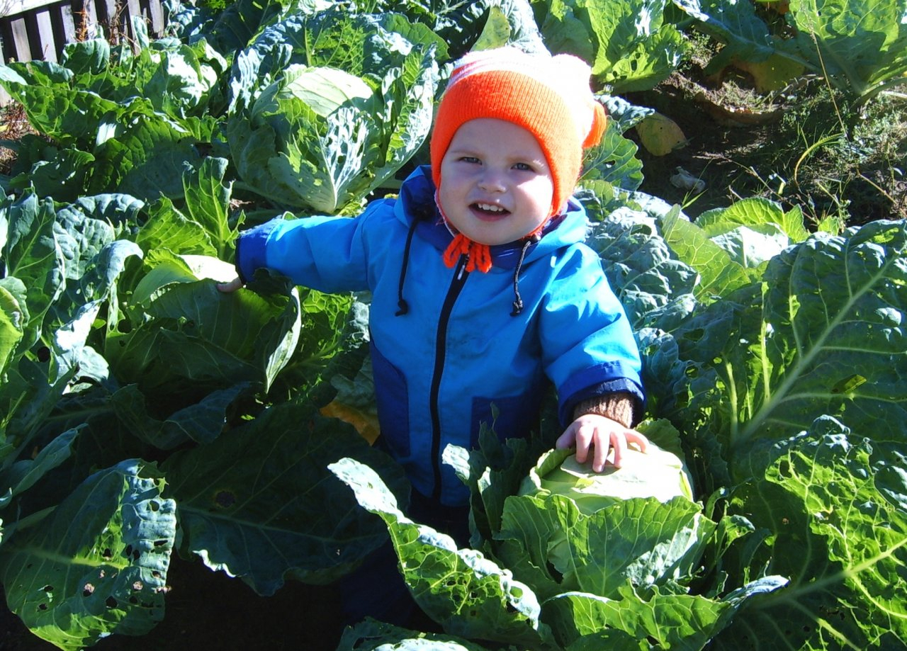 Конкурс "Моя дача"