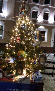 Аида Шокина