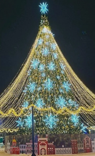 Аида Шокина