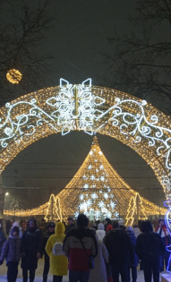 Анастасия Шутова