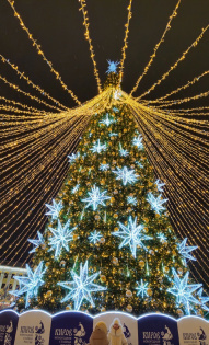 Анна Вилесова