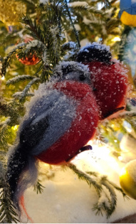 Анна Вилесова