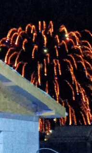 Арина Смирнова