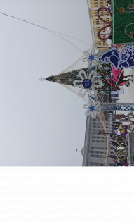 Галина Криулина