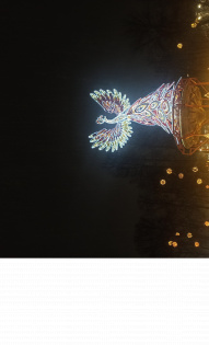 Галина Криулина