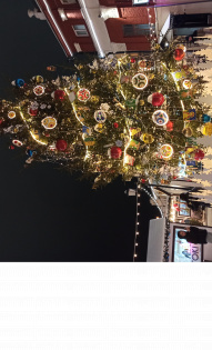 Галина Криулина