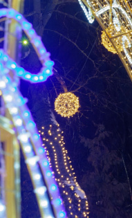 Даниил Ватагин 