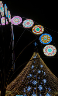 Даниил Ватагин 