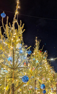 Дарья Чапайкина