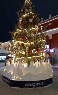 Елена Бурчевская