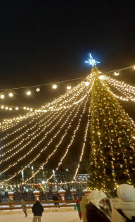 Елена Потехина 