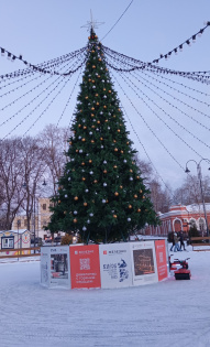 Елена Чистякова