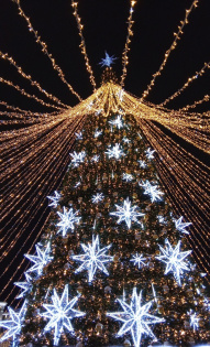 Елена Шмакова 