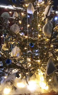 Елена Шмакова 