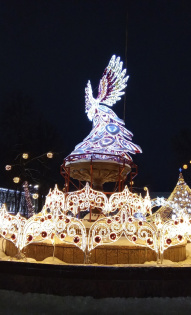 Елена Шмакова 