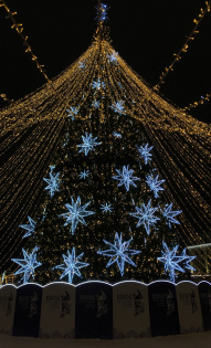 Злата Ворончихина