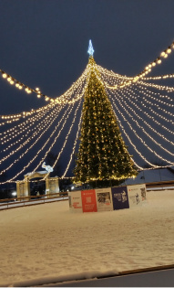 Ирина Тетенькина