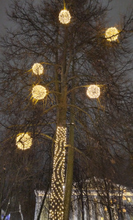 Ирина Тетенькина