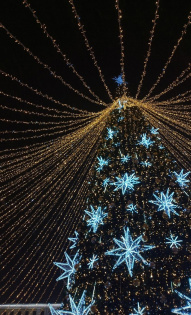 Кристина Кощеева