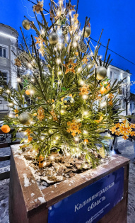 Любовь Понарина 