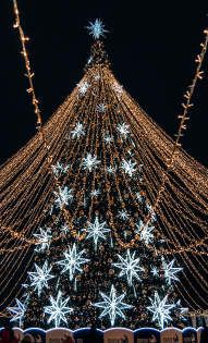 Марина Бобыкина