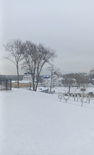 Надежда Колупаева