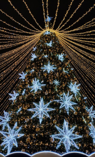 Ольга Маркова 