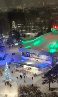 Светлана Кислицына