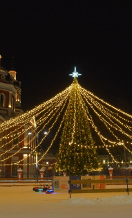 Светлана Платунова 