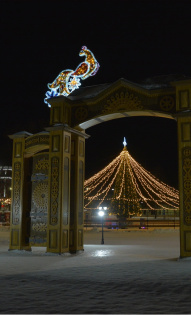 Светлана Платунова 