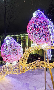 Светлана Челмодеева