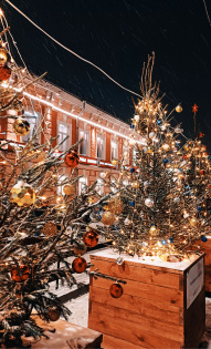 Софья Буталова