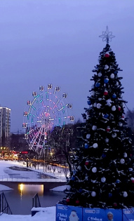 Татьяна Кротова