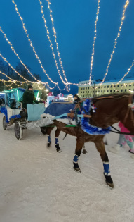 Юрий Дубровка 