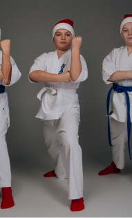 Алена Новикова 