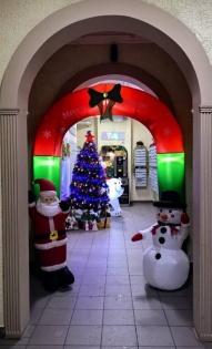 Константин Вагин