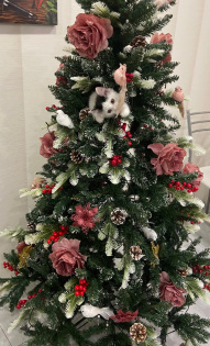 Наталья Иванцова 