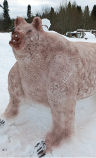 Наталья Попцова 