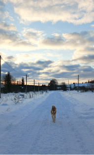 Наталья Попцова 