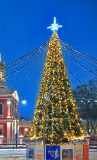 Алиса Сорокина