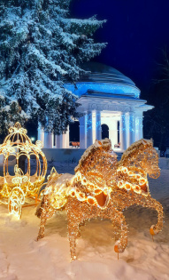 Алиса Сорокина