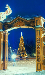 Алиса Сорокина