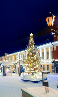 Алиса Сорокина