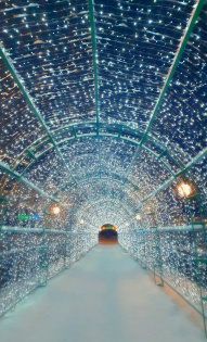 Татьяна Смирнова 