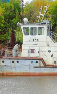 Марина Лапина