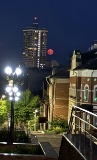 Наталья Пиминова