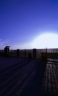 Юлия Шкляева