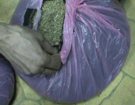 нарковтики в кировской области фото