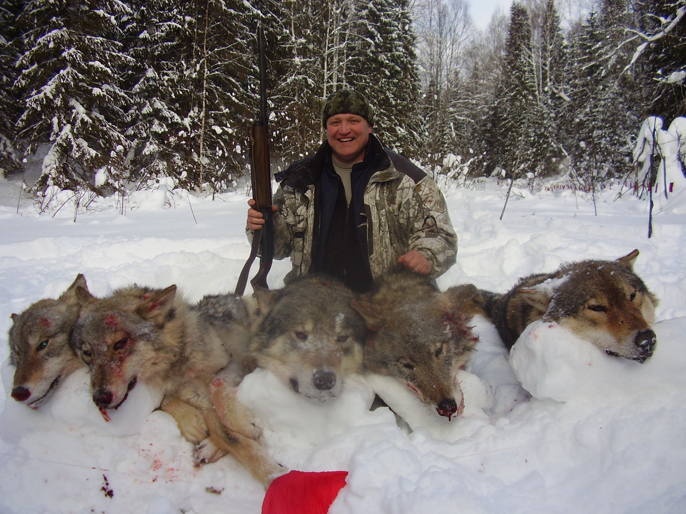 Wolf hunters. Охотники России. Охотхозяйство охотник.